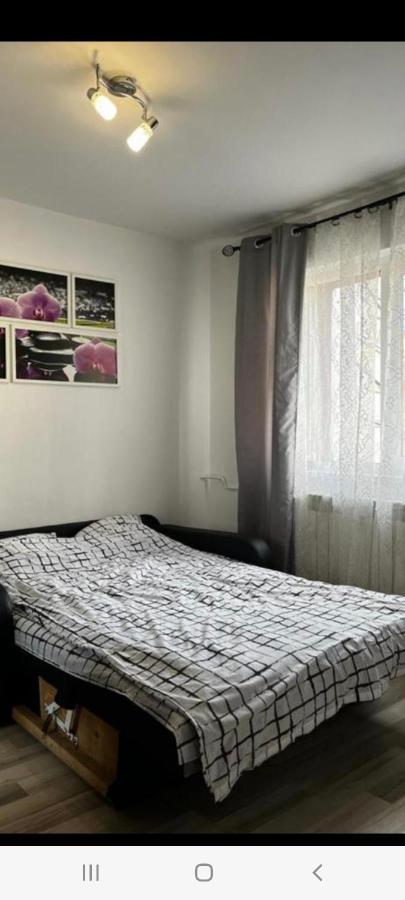 Zenapartment 브라쇼브 외부 사진